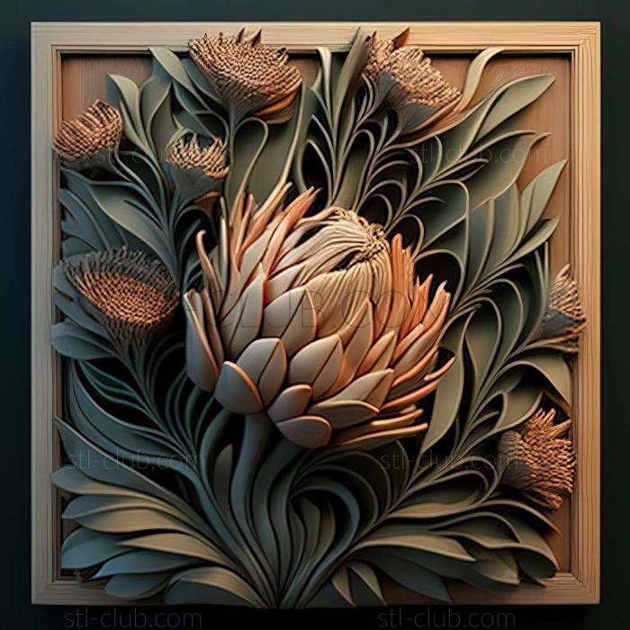 Protea